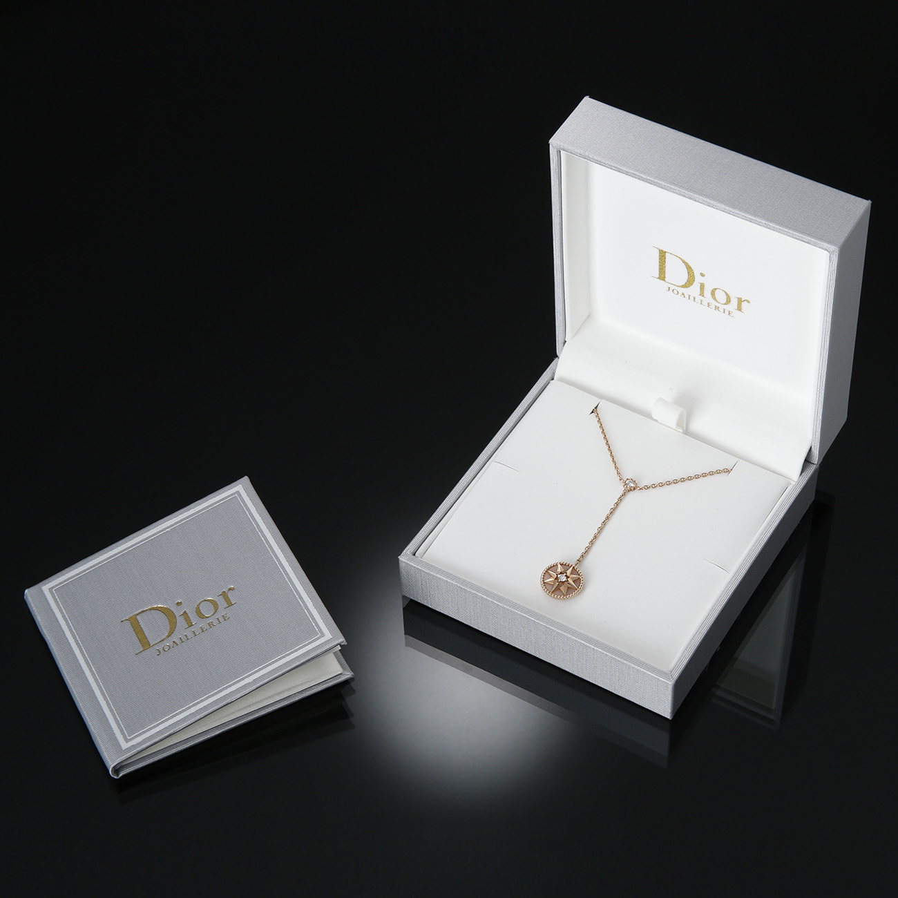 CHRISTIAN DIOR(USED)크리스찬디올 ROSE DES VENTS 목걸이